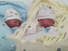 �㶫N����ϲ��˫��̥�б�' /></a></div>
<div class=